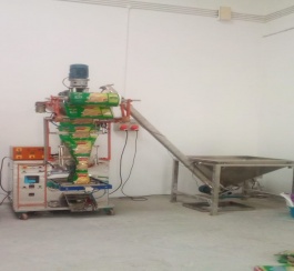 Fully Automatic Pneumatic F.F.S. Machine for Powder Packing  - SPEC 1B